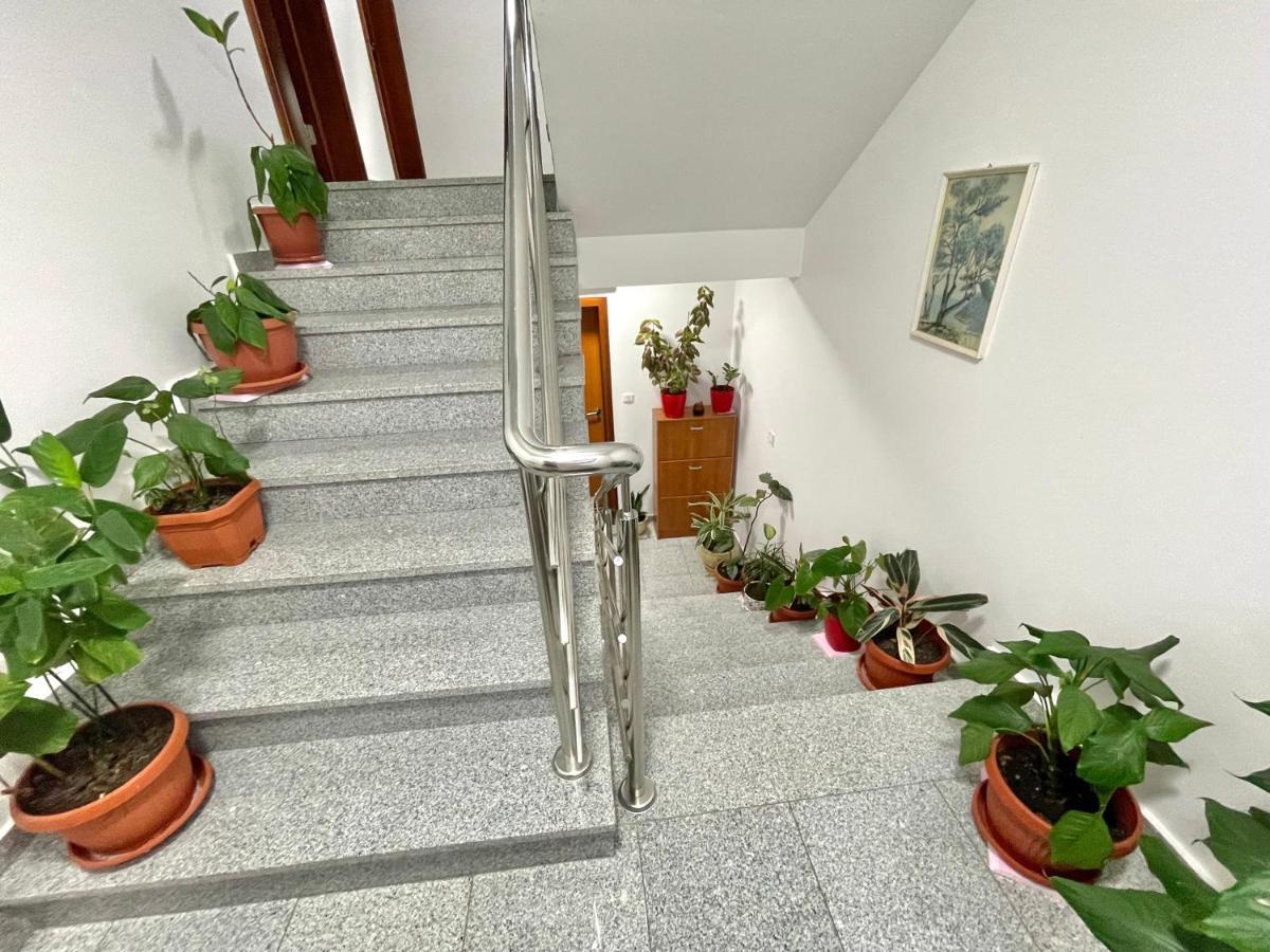 Apartments Boreta Becici Budva Zewnętrze zdjęcie
