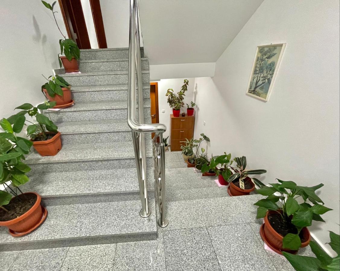 Apartments Boreta Becici Budva Zewnętrze zdjęcie