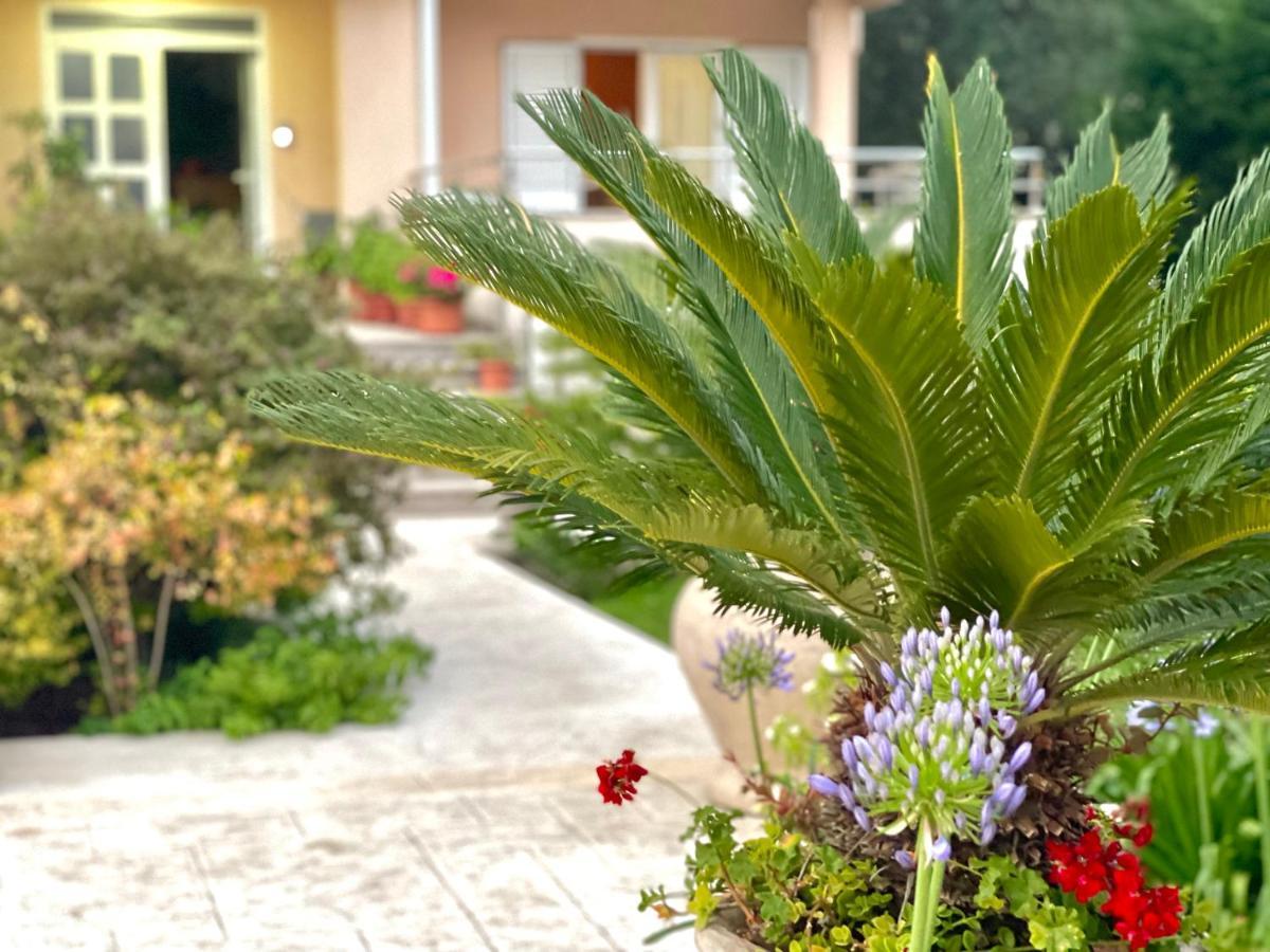 Apartments Boreta Becici Budva Zewnętrze zdjęcie